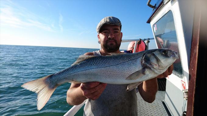 8 lb 2 oz Bass by Louis from Kent