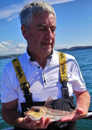 1 lb 3 oz Grey Gurnard by kenny