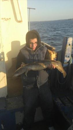 7 lb 8 oz Ling by Unknown