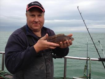 10 oz Ballan Wrasse by Neil