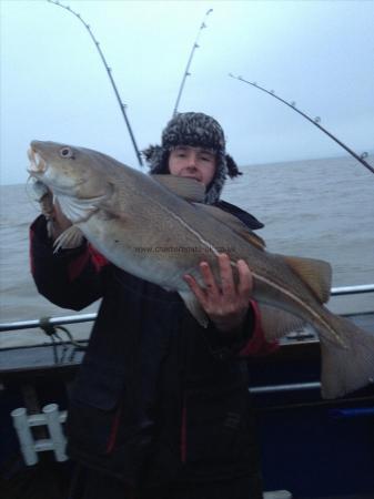 13 lb Cod by Unknown