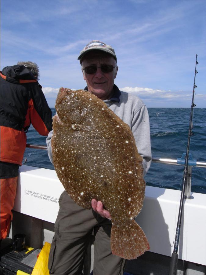 7 lb Brill by Unknown