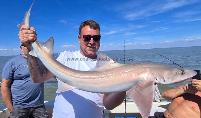 14 lb Starry Smooth-hound by Bobby