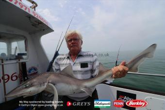 15 lb Starry Smooth-hound by John