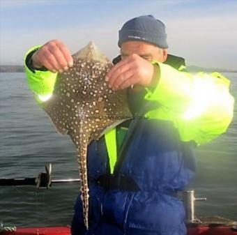 3 lb Thornback Ray by Tony Lewis