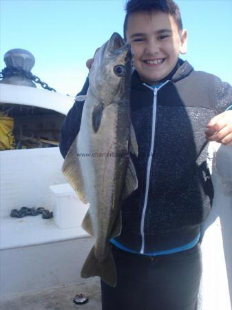 4 lb 8 oz Pollock by Skippers Son