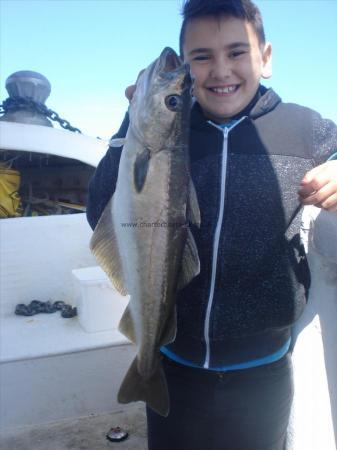 4 lb 8 oz Pollock by Skippers Son