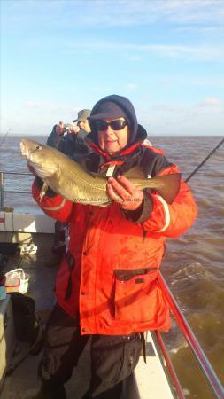 5 lb 8 oz Cod by cyril hughes of the danglers