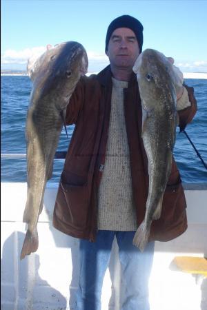 17 lb Cod by David