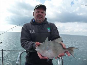 2 lb 6 oz Trigger Fish by Julian with his 1st Trigger