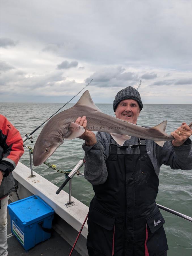 10 lb 6 oz Smooth-hound (Common) by John the feet