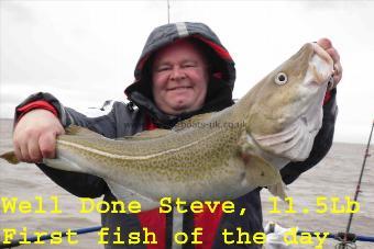 11 lb 8 oz Cod by Steve