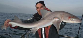 13 lb 10 oz Smooth-hound by Len Miles