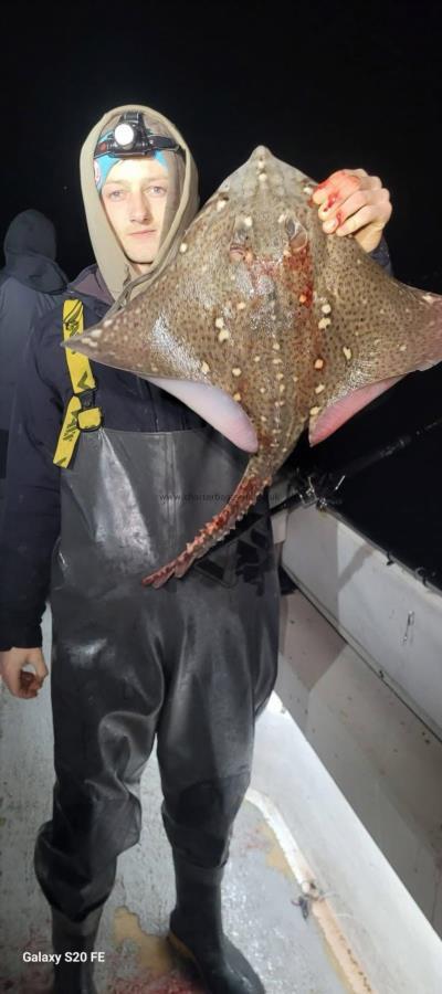 8 lb Thornback Ray by Unknown
