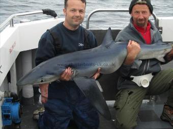 121 lb Blue Shark by Unknown