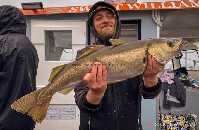 10 lb Pollock by Will Dove