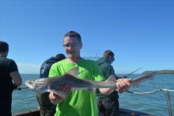 5 lb Starry Smooth-hound by Unknown