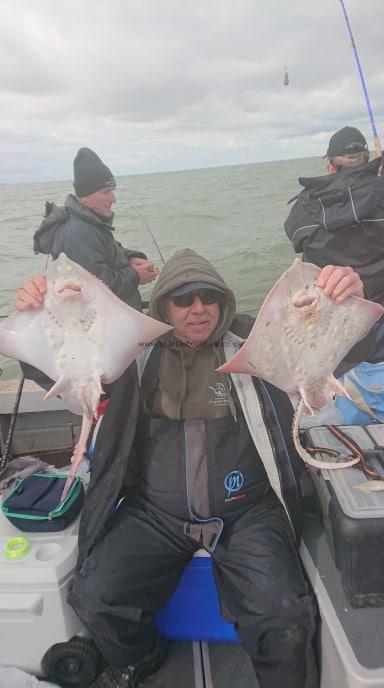 5 lb Thornback Ray by Unknown