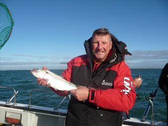 2 lb 6 oz Allis Shad by Mike Hartley