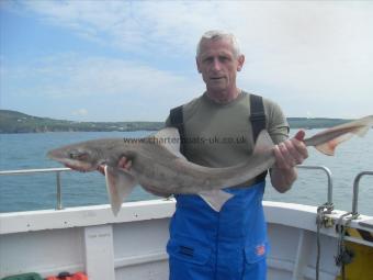 10 lb 6 oz Starry Smooth-hound by Unknown
