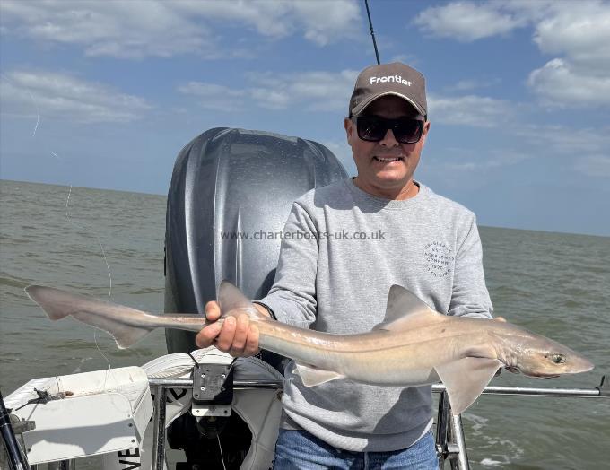 8 lb 8 oz Starry Smooth-hound by Martin