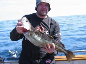 8 lb 2 oz Pollock by john