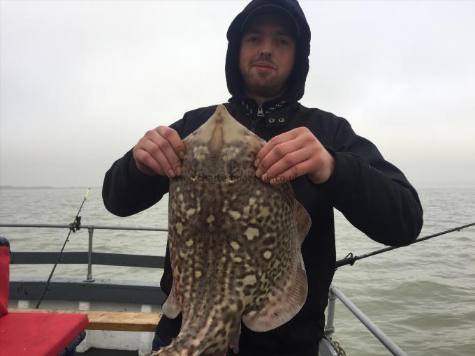 7 lb 3 oz Thornback Ray by Unknown