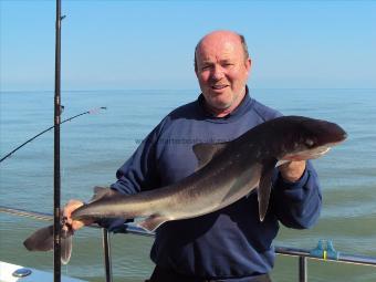 15 lb 12 oz Spurdog by Ian Toner