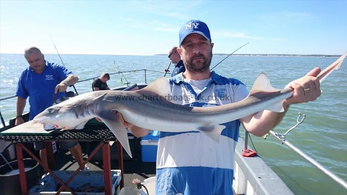 9 lb 5 oz Smooth-hound (Common) by Gary from Hertfordshire