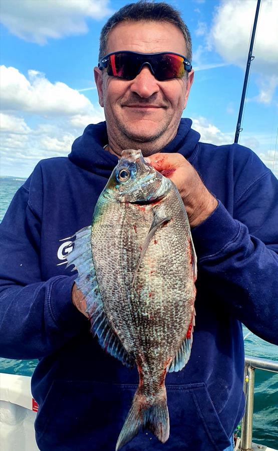 2 lb Black Sea Bream by Deville