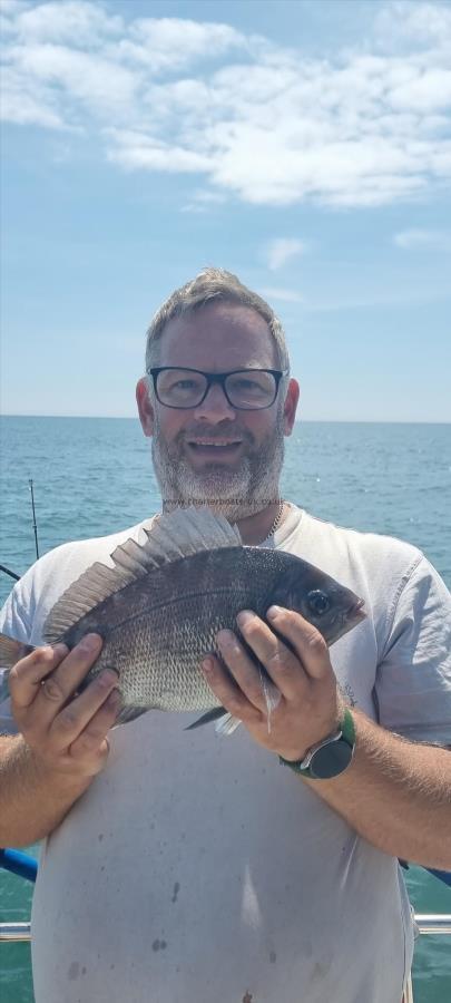 2 lb 8 oz Black Sea Bream by Grant