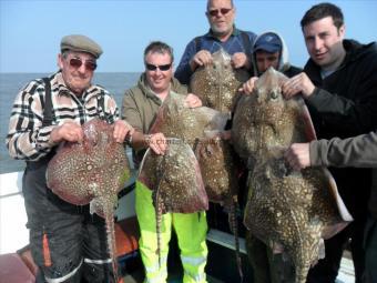 10 lb Thornback Ray by Ashford Crew