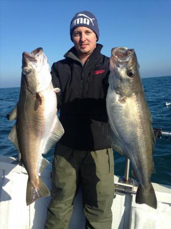 13 lb 4 oz Pollock by Radu