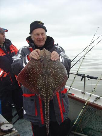 13 lb Thornback Ray by Unknown