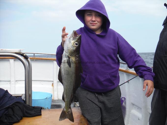 4 lb 8 oz Pollock by Harley