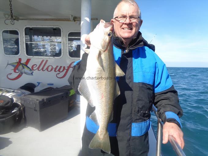 7 lb Pollock by Mick