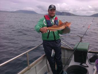 3 lb 7 oz Tub Gurnard by Unknown