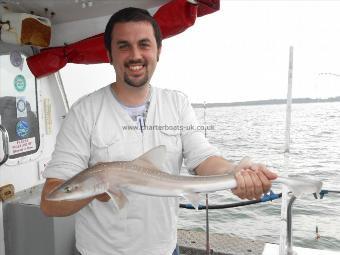 4 lb Starry Smooth-hound by Phil Clements