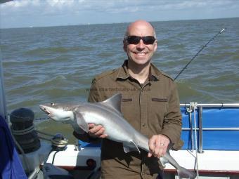 9 lb Smooth-hound by Paul Hogger