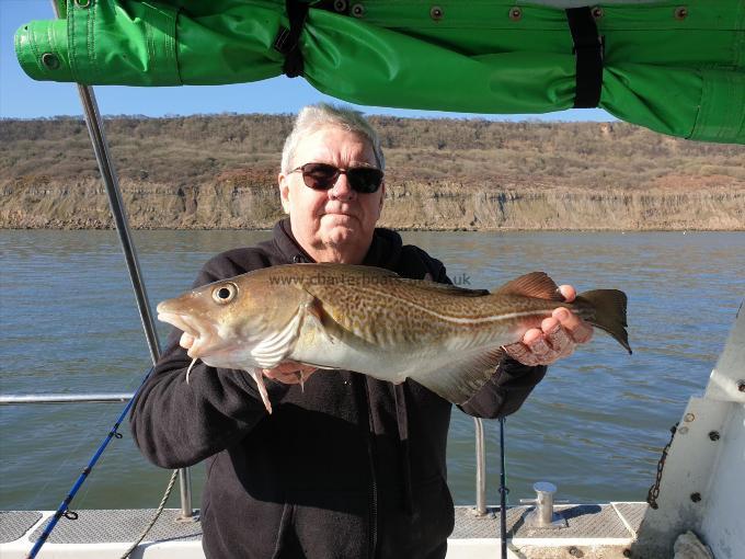 4 lb Cod by Alan Ward from Whitby