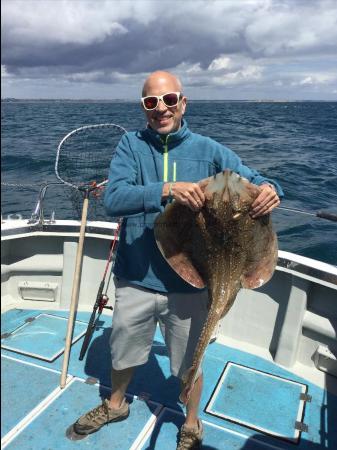 15 lb Undulate Ray by Unknown