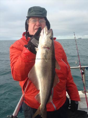 8 lb 8 oz Pollock by Phill