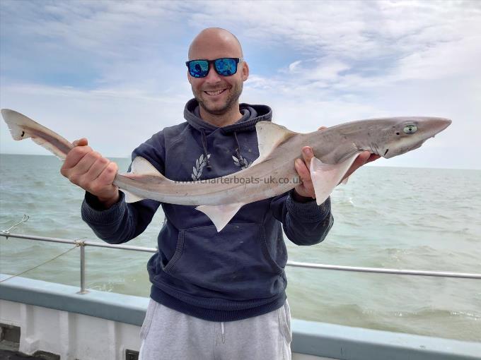 4 lb 3 oz Starry Smooth-hound by Luke Gilbert