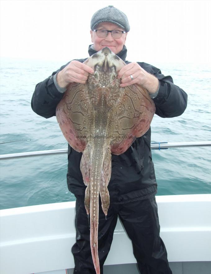 13 lb 2 oz Undulate Ray by Giles Semper