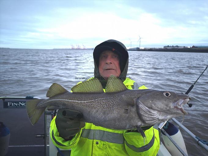 5 lb Cod by Unknown