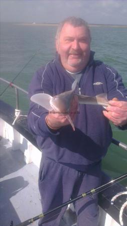 2 lb Smooth-hound by rod from sturry
