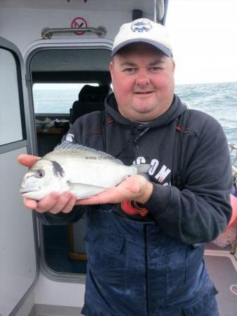 1 lb 14 oz Gilt-head Sea Bream by Byron Jones