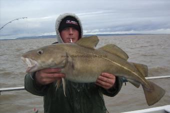 14 lb 6 oz Cod by Unknown