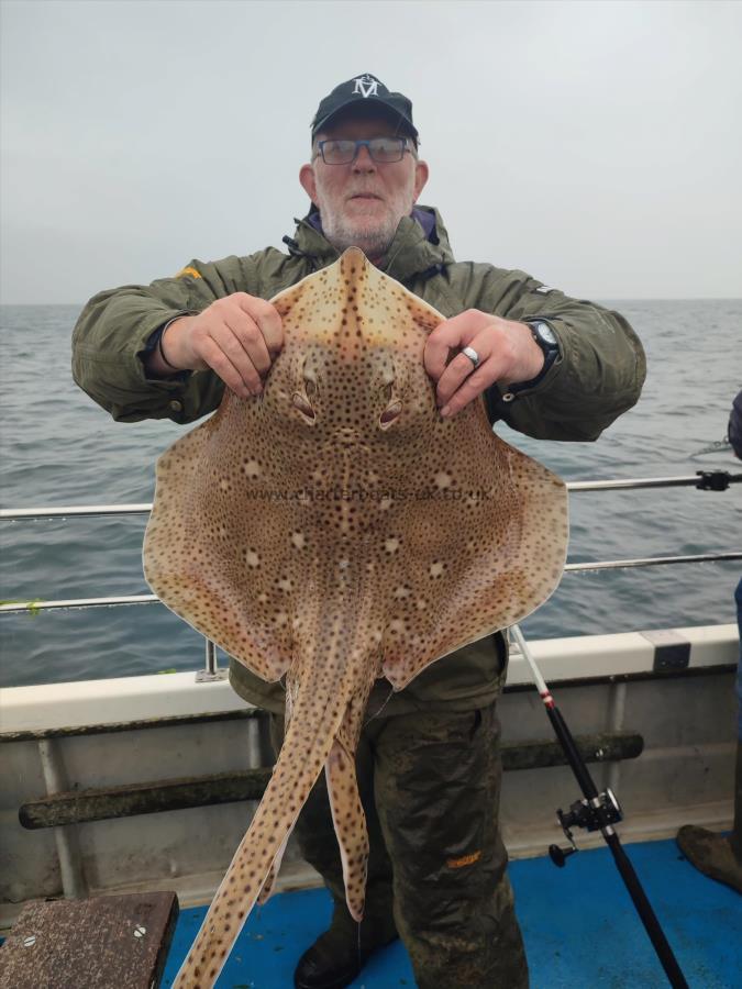 15 lb Blonde Ray by Dean