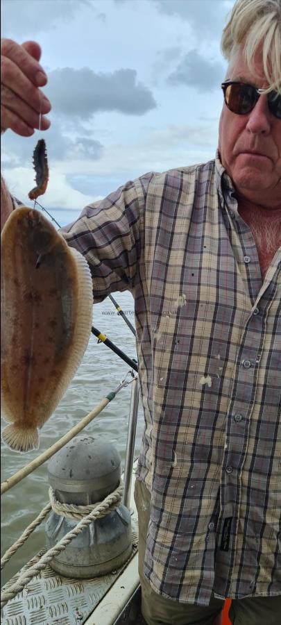 1 lb Dover Sole by Clive